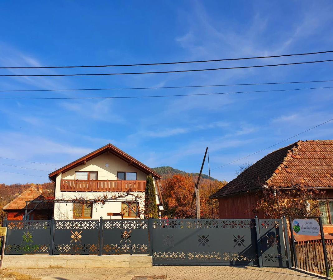 מלון Domeniul Acasa In Vadu Izei Maramu מראה חיצוני תמונה